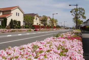 南芦屋浜の住宅地