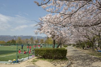 芦屋中央公園