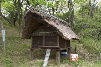 会下山遺跡の復元高床式倉庫