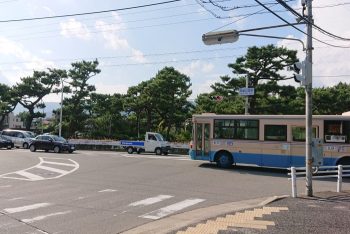 臨港線から松並木の芦屋公園方面を見る