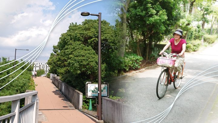 家族でのんびり、芦屋浜の中央緑道で緑の中をサイクリング！